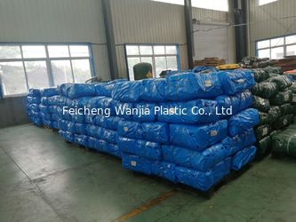 Feicheng Wanjia Plastic Co., Ltd